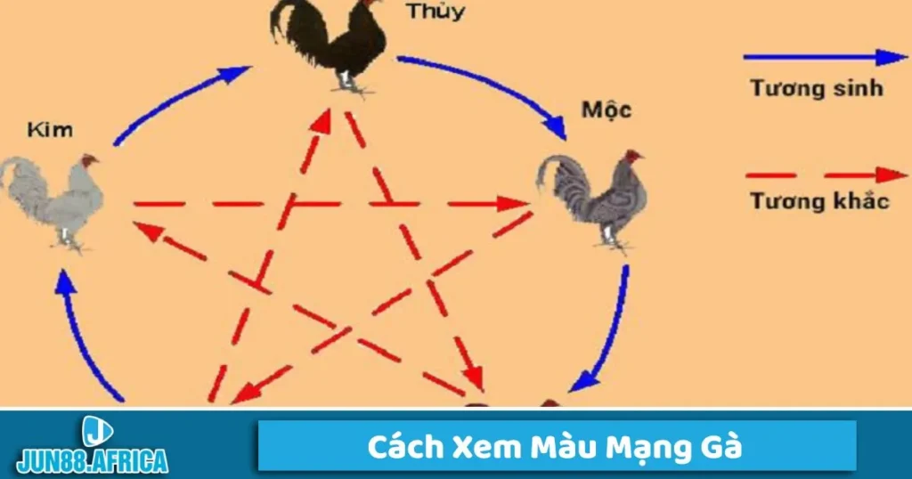 Hướng dẫn cách xem màu mạng gà