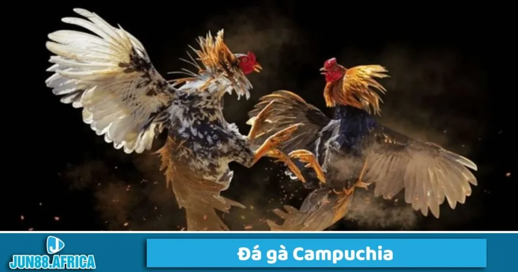 Tìm hiểu về đá gá Campuchia