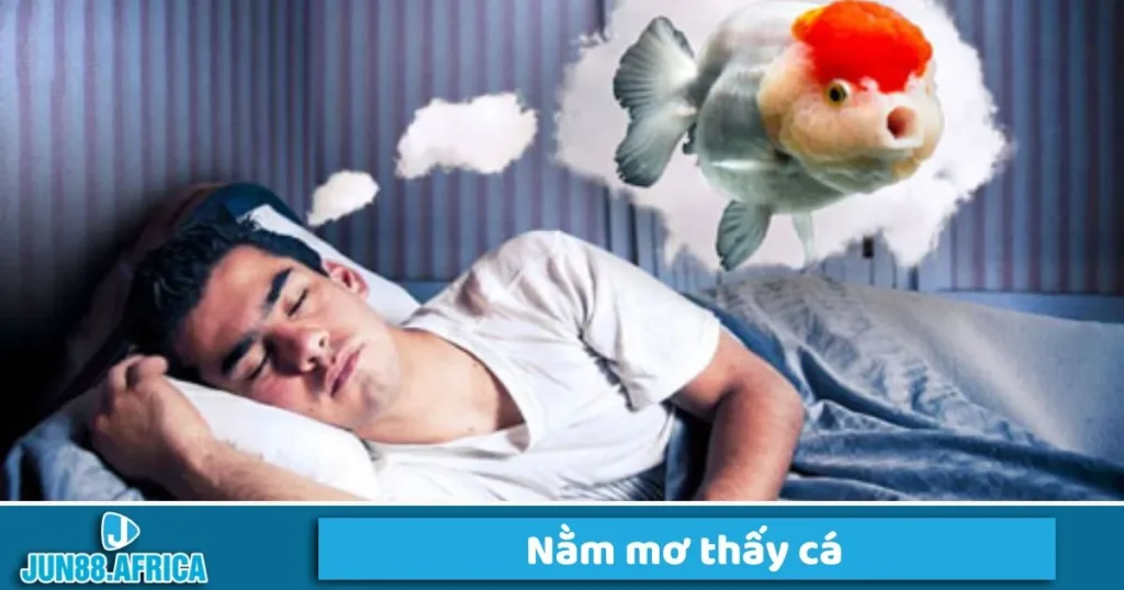 Nắm mơ thấy cá có điềm gì?