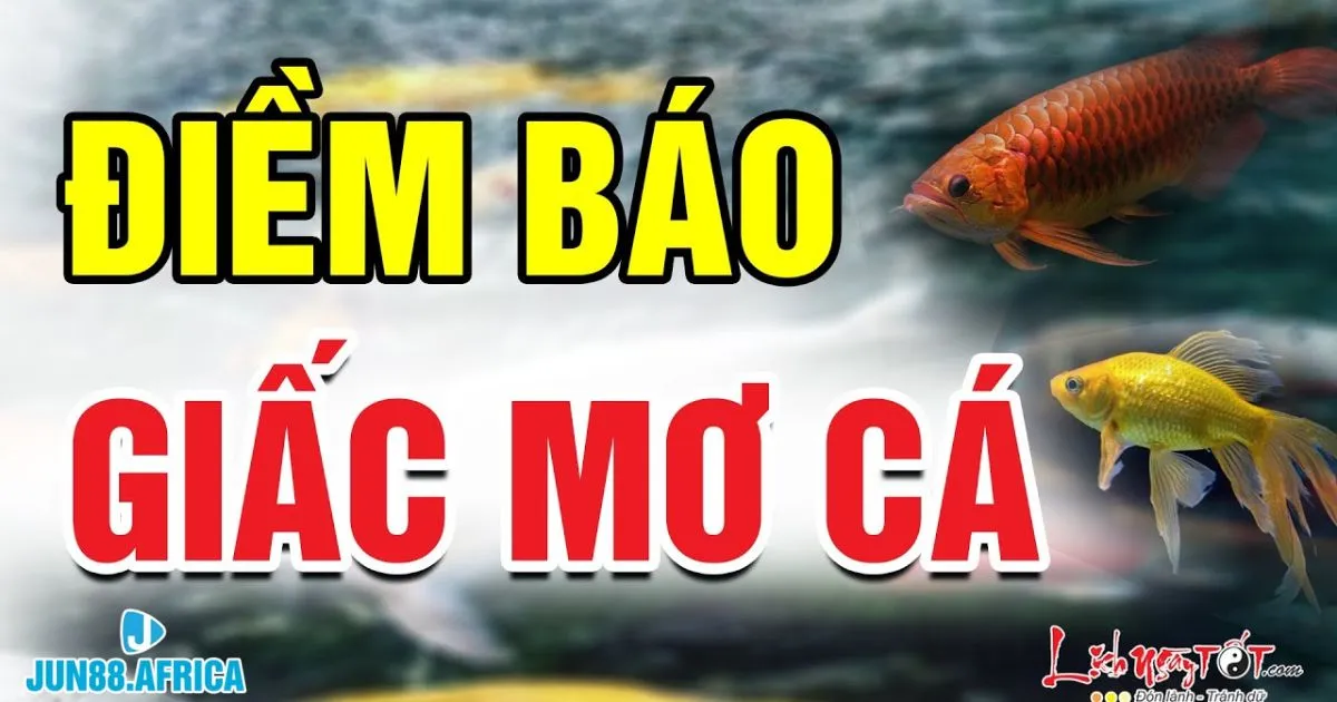 Nằm Mơ Thấy Cá Jun88 – Cơ Hội Trúng Lô Lớn Từ Giấc Mơ 4 Cá rô mang ý nghĩa về sự thuận lợi trong công việc